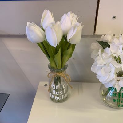 Tulips In Vase