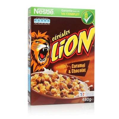 LION 480G 