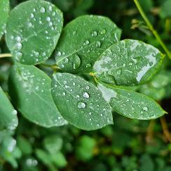 6X90 minutes Package