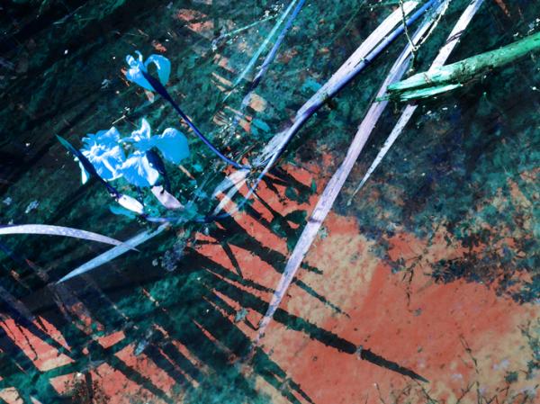 Bâche toiles (peinture) 300 gr/coton laize 120 cm