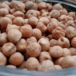 garbanzo pedrosillano